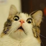 Логотип @sram1 - Первый Срамной 🤘