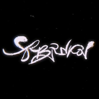 Логотип @srbrnkov_stihi - SRBRNKOV