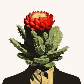 Логотип @sreda_land - SREDA