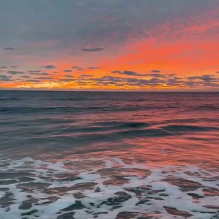 Логотип @srilankapromo - Шри-Ланка промо-канал 🐘🏝