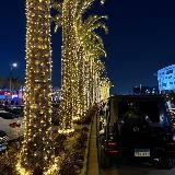 Логотип @ssahwa - ‎الصحوة