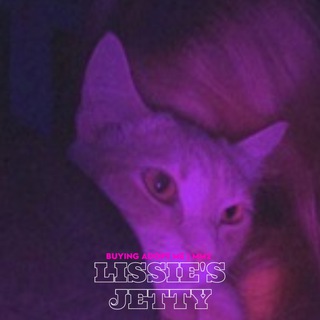 Логотип @ssatiraa_garant - Lissie's jetty | Buying Adopt me | MM2