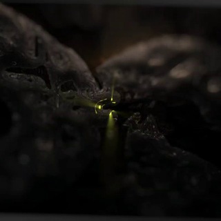 Логотип @ssbattle - SSBATTLE