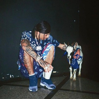 Логотип @ssgarchivio - SSG Archivio