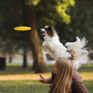 Логотип @ssignofhope - Sign of Hope