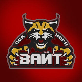 Логотип @ssk_vait - ССК «ВАЙТ» | НВГУ