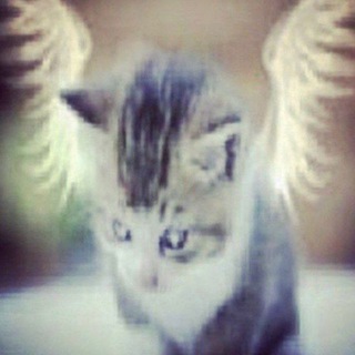 Логотип @sslappyy - slappy