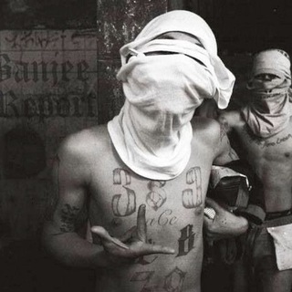 Логотип @sslnsl - desert rо́se