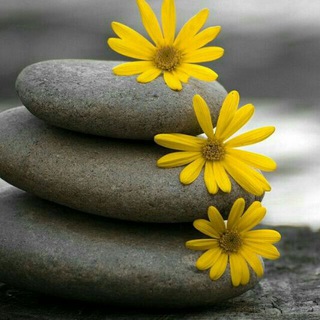 Логотип @ssoreaa - ❤كروب عطر الشام ❤