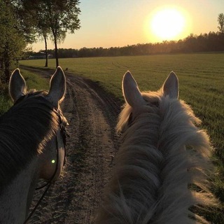 Логотип @ssoulmyy - Ssoul_myy