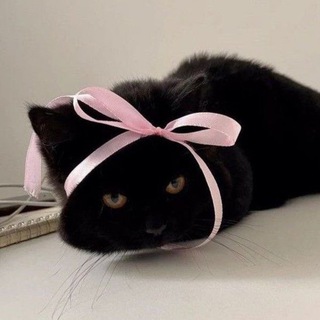 Логотип @sstiina - stina chat