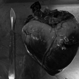 Логотип @sstoryyss - Сторисы🐾