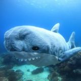 Логотип @ssvv36 - вы готовы дети?)))