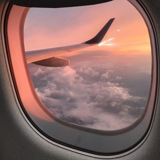 Логотип @ssyndd - S Y N D✈️