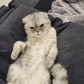 Логотип @st_esc0bar - Берлога Друшляка