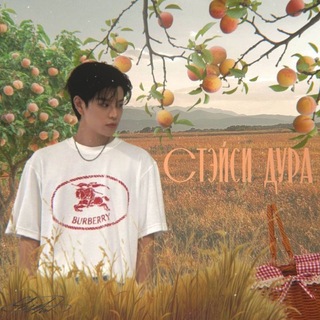 Логотип @stacyss0 - стэйси дура