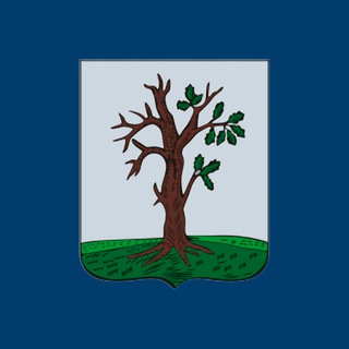Логотип @stadmo - Стародубский округ
