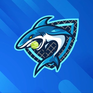 Логотип @stake10tenisvip - STAKE 10 TENIS VIP 🎾🥇