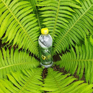 Логотип @stanislava_olife - 🌸Олайф - экстракт долголетия🌸