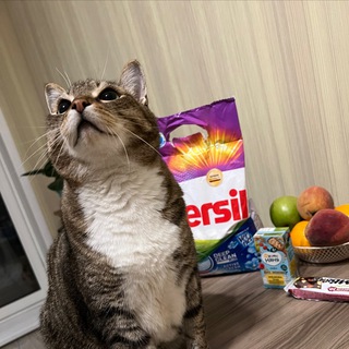 Логотип @stanloxer - Stanlox