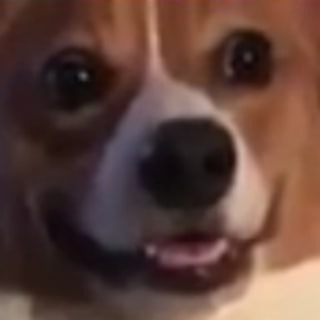 Логотип @stanyyy - stanyyy