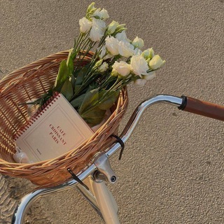 Логотип @star_g1rls - 𝓢𝓽𝓪𝓻_𝓰𝓲𝓻𝓵𝓼 💕