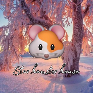 Логотип @star_hamser_house - 🌷 Star.hamster.house 🌱