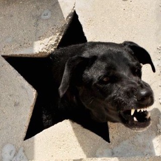 Логотип @starchaseme - в моей голове все живы