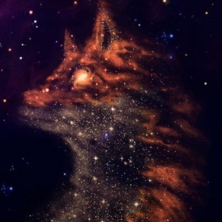 Логотип @starfoxs - Звездный лис