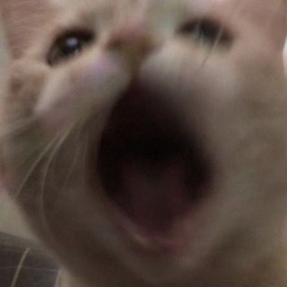 Логотип @stargirl_xo_xo - 0:00am