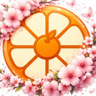 Логотип @starikzako - Грыжа Zako