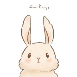 Логотип @starkattychat - Обсуждение StarKatty