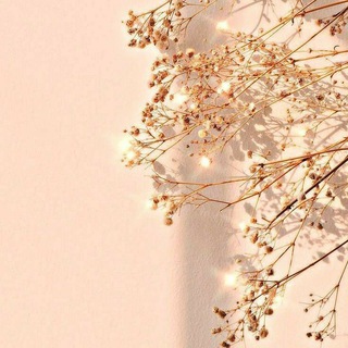 Логотип @starknittingkg - Star_knitting.kg