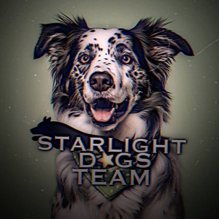 Логотип @starlightedogteam - 𝙎𝙩𝙖𝙧𝙡𝙞𝙜𝙝𝙩_𝙙𝙤𝙜𝙨_𝙩𝙚𝙖𝙢🌤