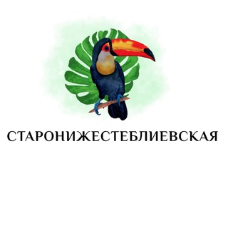 Логотип @staronizhesteblievskaya - Старонижестеблиевская Знакомства