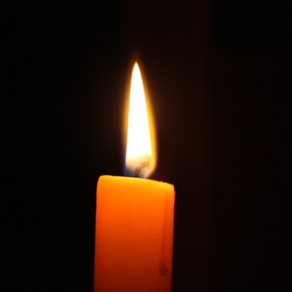 Логотип @starstableonlinespoilers - Коды в Star Stable Online