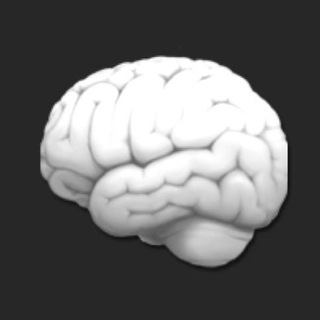 Логотип @startobus - STARTOBUS