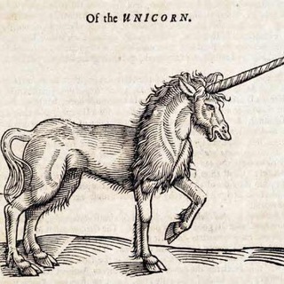 Логотип @startupeveryfuckingday - Startup Everyday