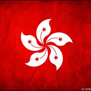 Логотип @startuphkco - Бизнес в Китае и Гонконге