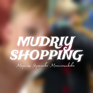 Логотип @stashoping - Mudriy Shopping | Мерч Ярослава Могильникова