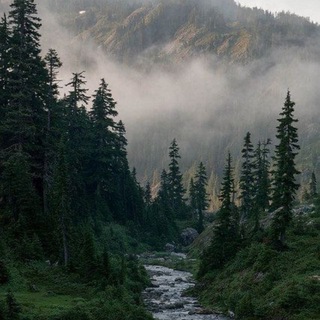 Логотип @stasy_akant - Анастасия Акант | В сердце Тихого омута