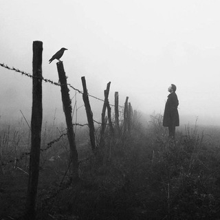 Логотип @stat_vladimir - Ёстика