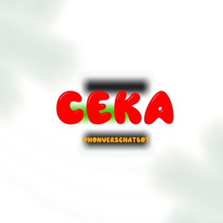 Логотип @stats_seca - Статистика Сека