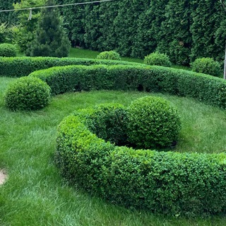 Логотип @stav_landshaft - Stav Landshaft