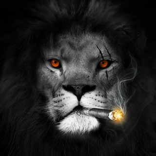 Логотип @stavki7395 - $$$сТаВкИ пО лИнИи$$$