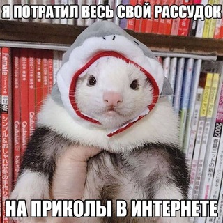 Логотип @stavlaikeslilyubishmamu - DPD — Dystopian plebeian depression