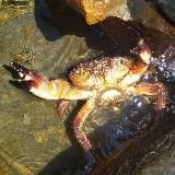 Логотип @stayed_stone - Под лежачий камень...