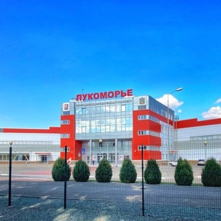 Логотип @stc_lukomore - ГБУ ДО СК «СШ «Лукоморье»