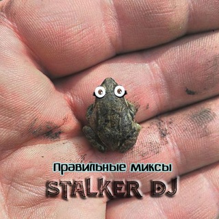 Логотип @stdjru - stalker_dj авторские миксы, сборники, dj сэты