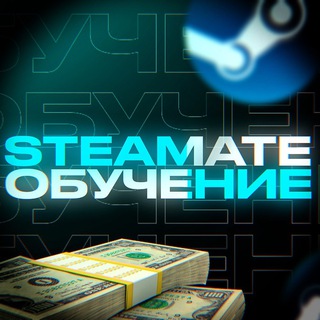 Логотип @steamate_prod - STEAMATE | Обучение